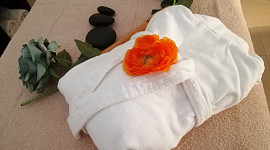 Wellness Ceedina