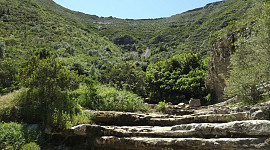 Natuurlijk theater