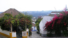 Bloemenpracht Obidos